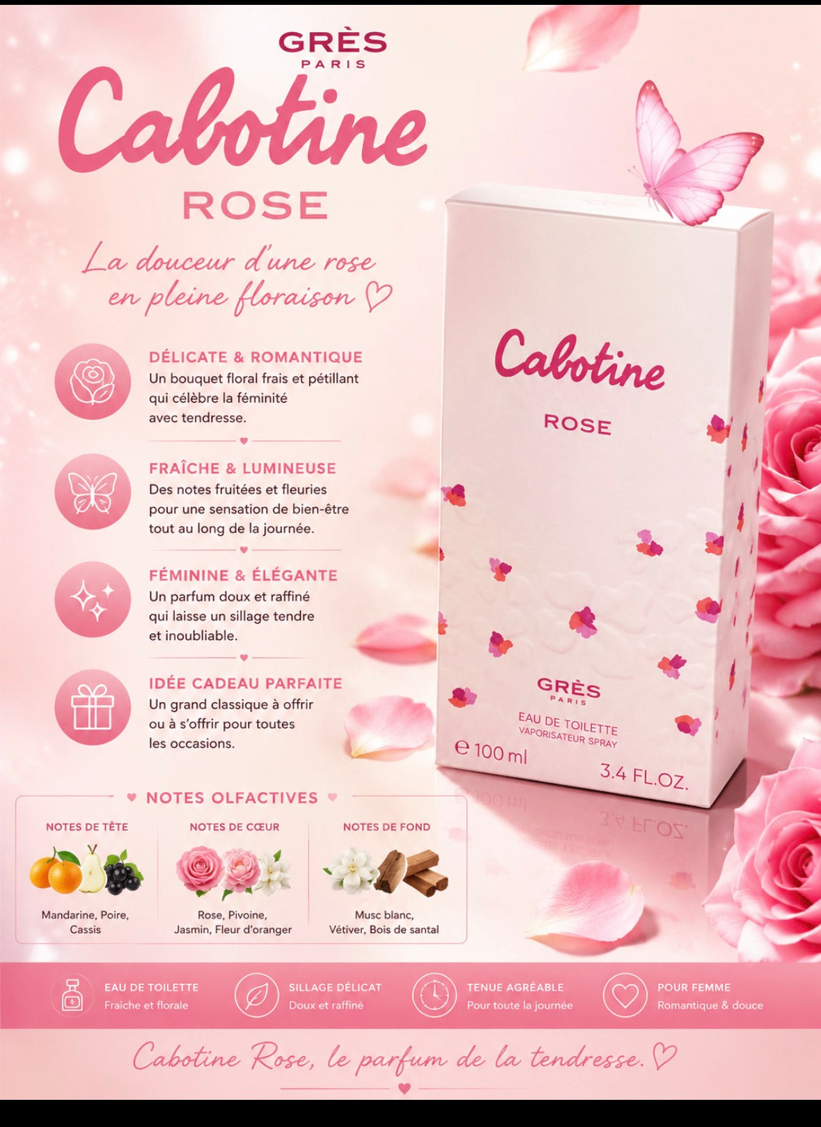 Cabotine rose